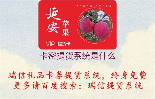 卡密提货系统是什么3.jpg