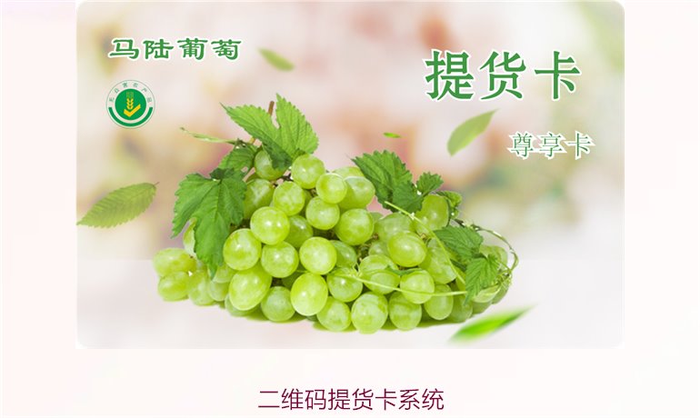 二维码提货卡系统介绍：提升提货效率的创新方案(图3)