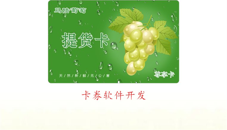 卡券软件开发的基本流程与注意事项，助你顺利上手(图2)